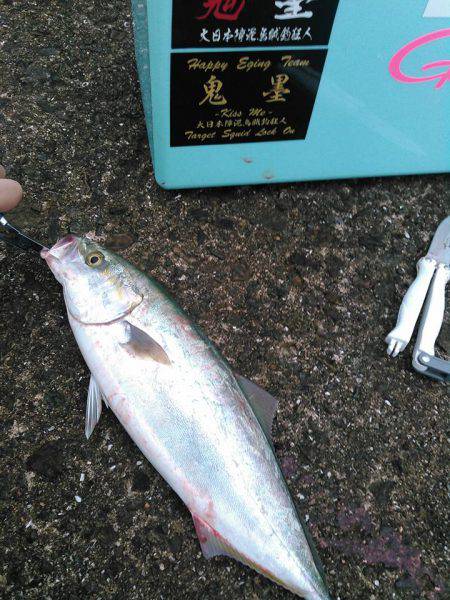 つばっしー！！！❤